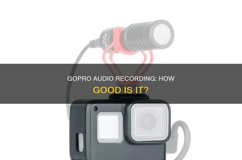does go pro pick up sound