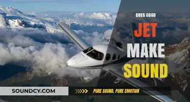 Does the Gogo Jet Produce Noise? Exploring Its Sound Levels
