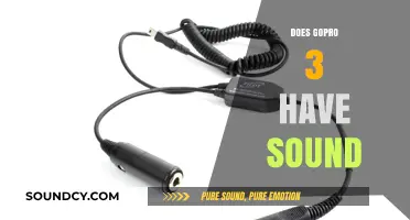 GoPro 3 Audio Capabilities: Does It Record Sound Effectively?