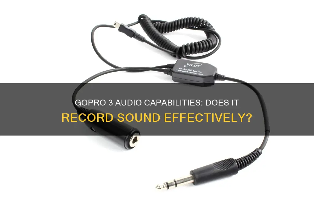 does gopro 3 have sound