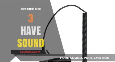 GoPro Hero 3: Audio Quality Review