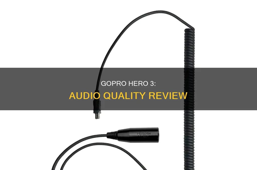 does gopro hero 3 have sound