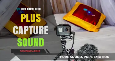 GoPro Hero Plus: Audio Capture Capabilities Explored