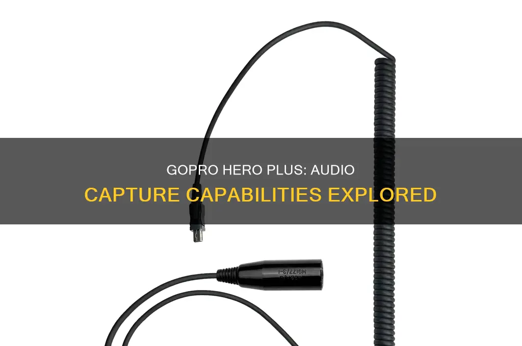 does gopro hero plus capture sound