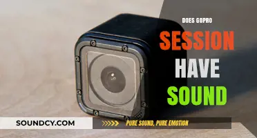 Does GoPro Session Record Audio? Uncovering the Sound Capabilities