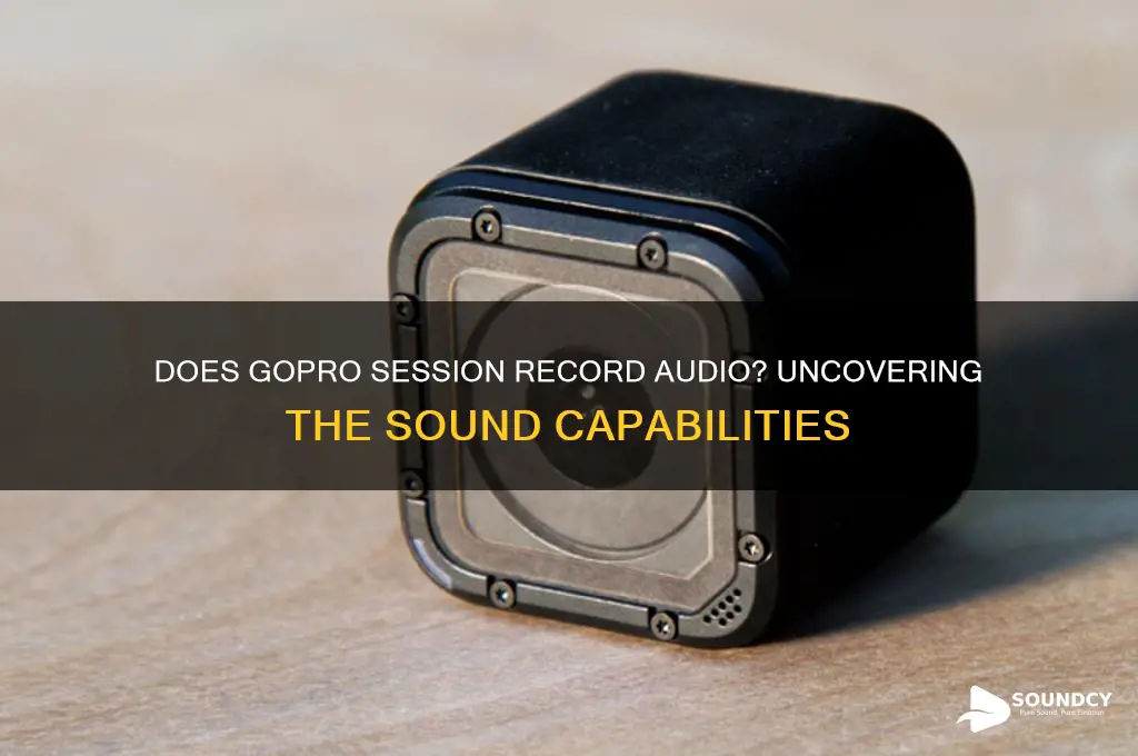does gopro session have sound