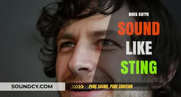 Gotye vs. Sting: Unraveling the Vocal Similarities and Musical Echoes