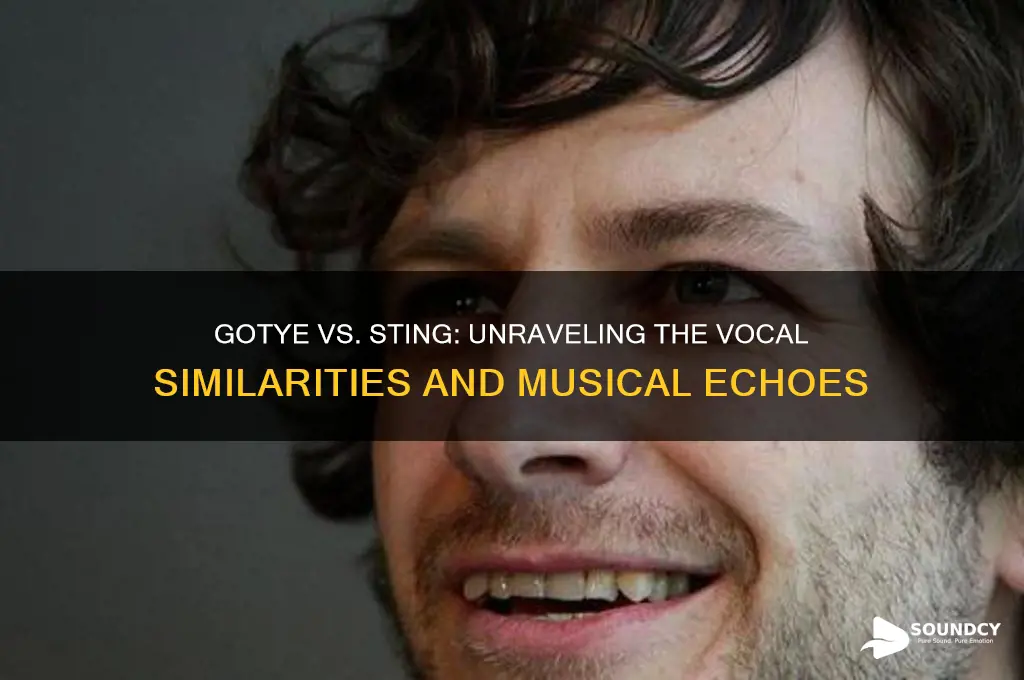 does gotye sound like sting