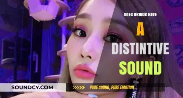 Grindr's Distinctive Sound: A Sonic Brand?