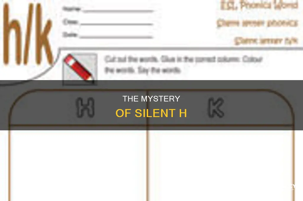does h not have any sound