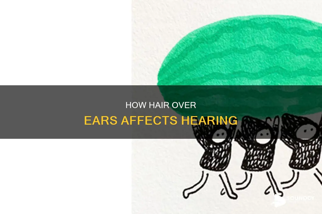 does hair over ears filter sounds