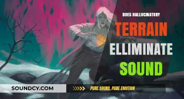 Does Hallucinatory Terrain Silence Sounds? Exploring D&D's Magical Terrain Effects