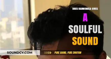 Harmonica's Soulful Expression: A Unique Sound