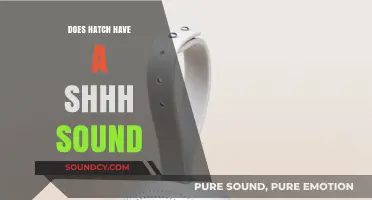 Hatch's Hidden "Shhh" Sound: Why and When?