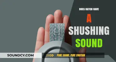 Hatch Sound: A Soothing Shush?