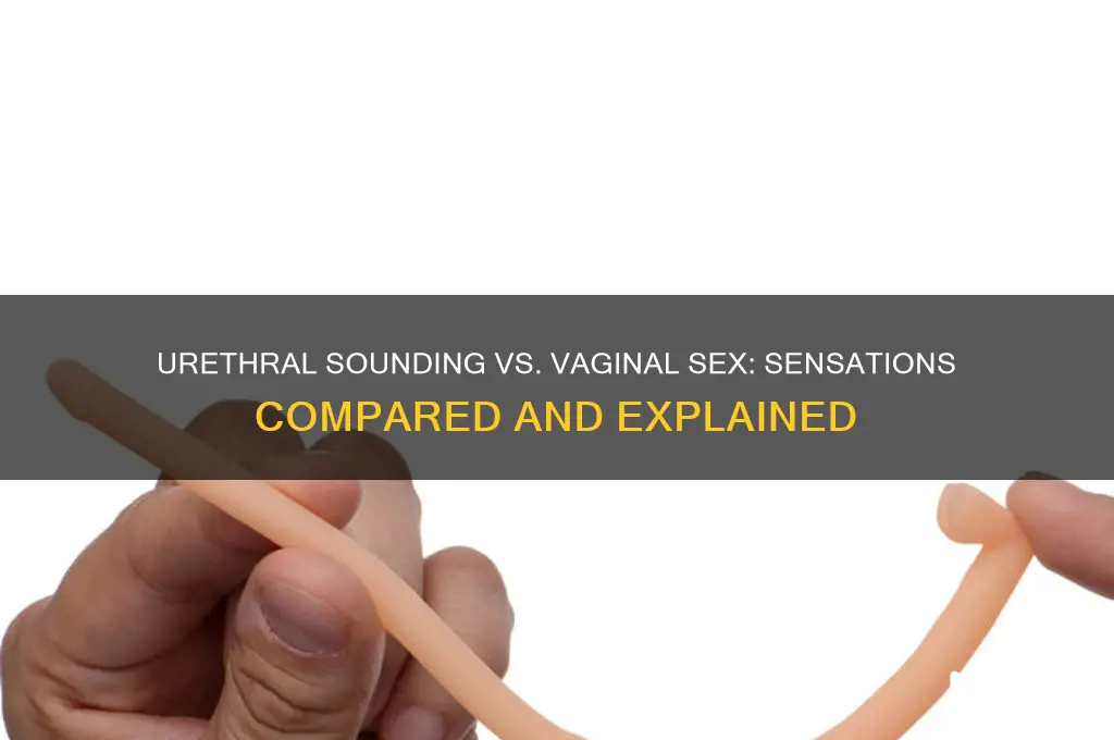 does having your urethra sounded feel like vaginal sex