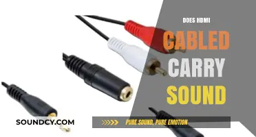 HDMI Cables: Do They Transmit Audio and Video Signals?