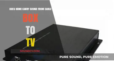 HDMI Cable Box to TV: Does It Transmit Audio?