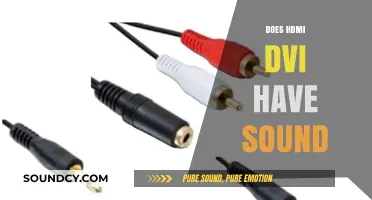 HDMI to DVI: Does It Support Audio Transmission?
