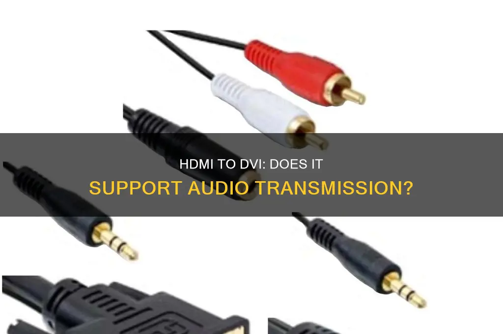 does hdmi dvi have sound
