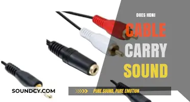 HDMI Cable Sound Capabilities: Do They Transmit Audio?