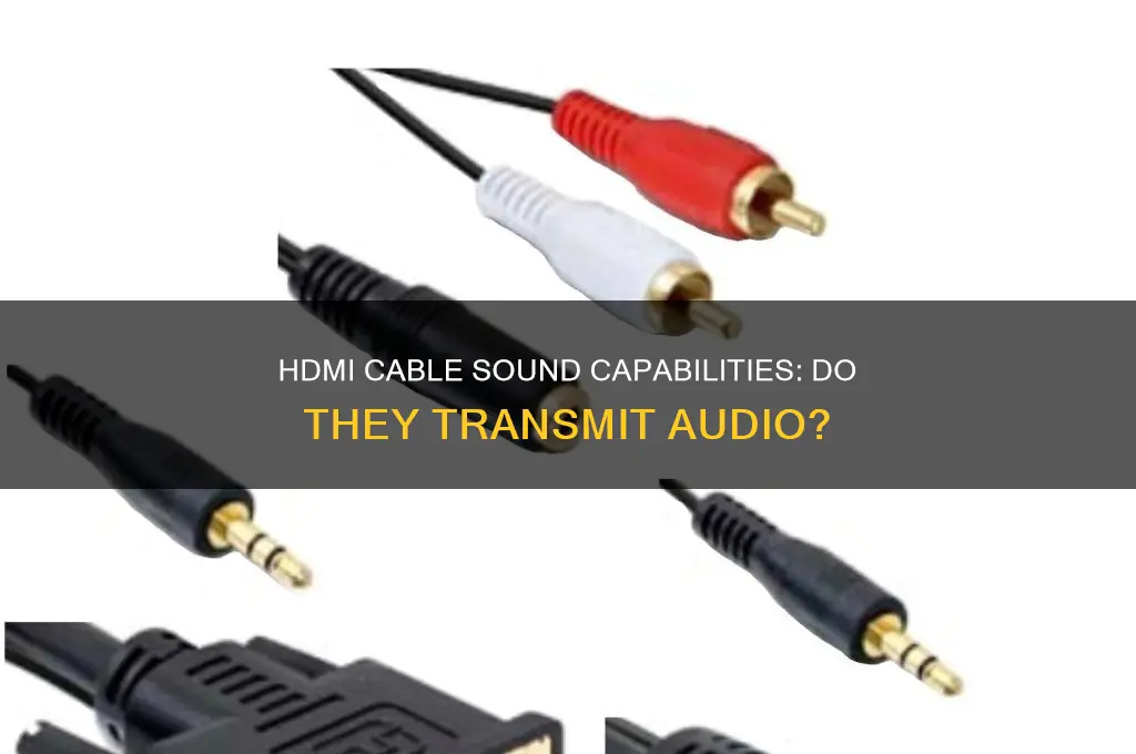 does hdni cable carry sound