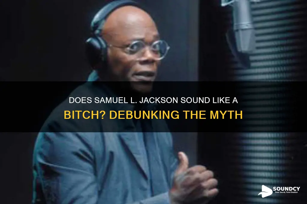 does he sound like a bitch samuel l jackson