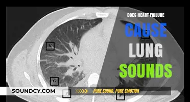 Heart Failure: Can It Cause Abnormal Lung Sounds?