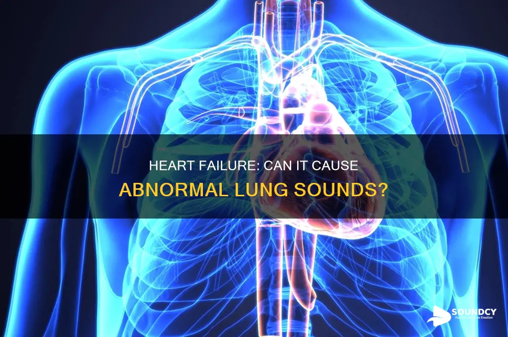 does heart failure cause lung sounds