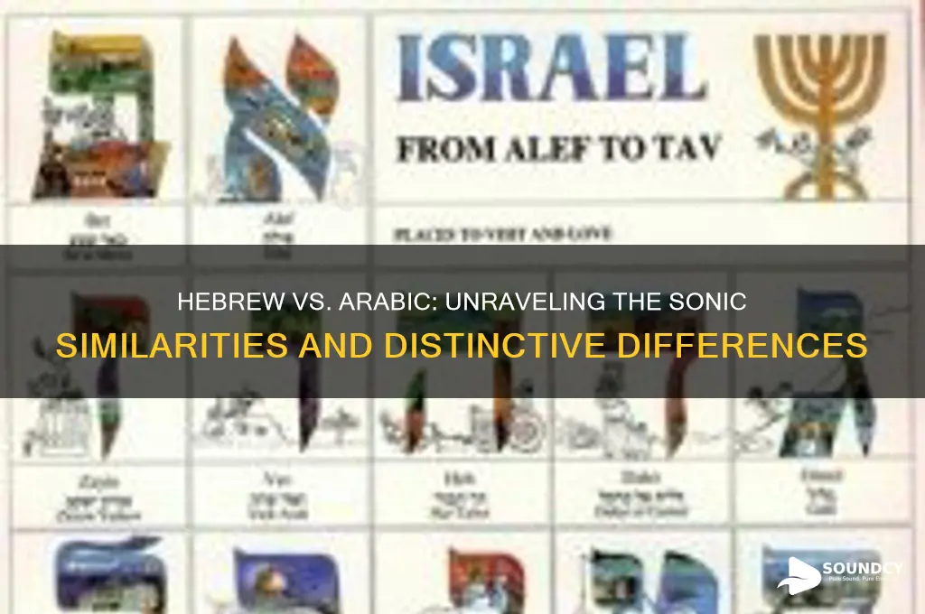 does hebrew sound like arabic