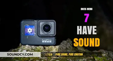 Does the GoPro Hero 7 Capture Audio? A Sound Check