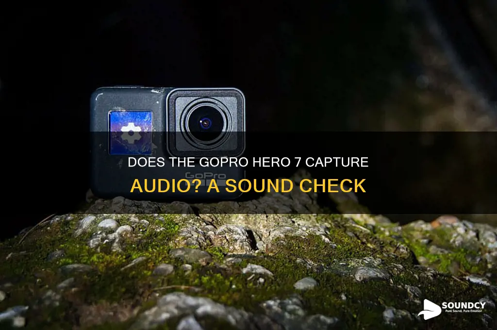 does hero 7 have sound