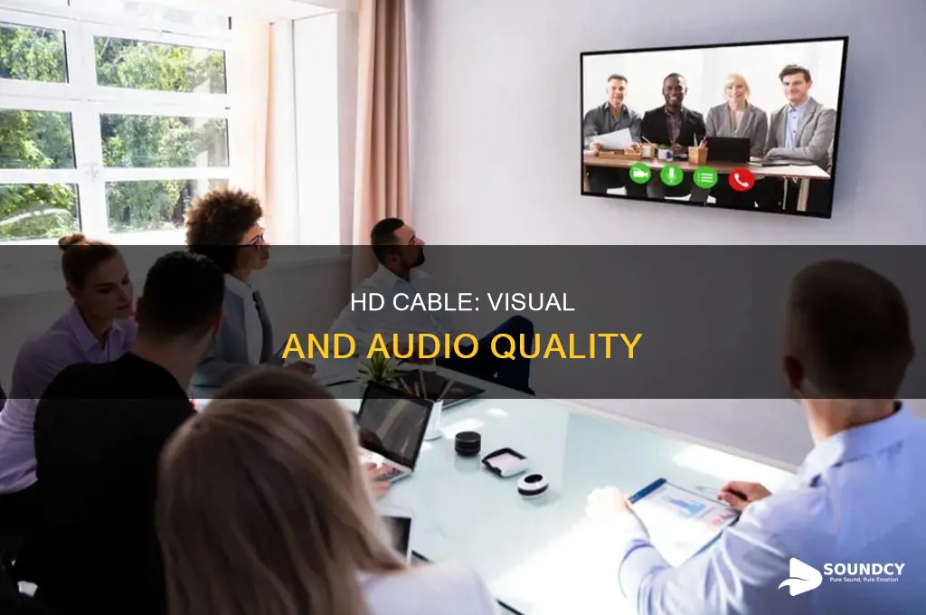 does hi def cable include sound