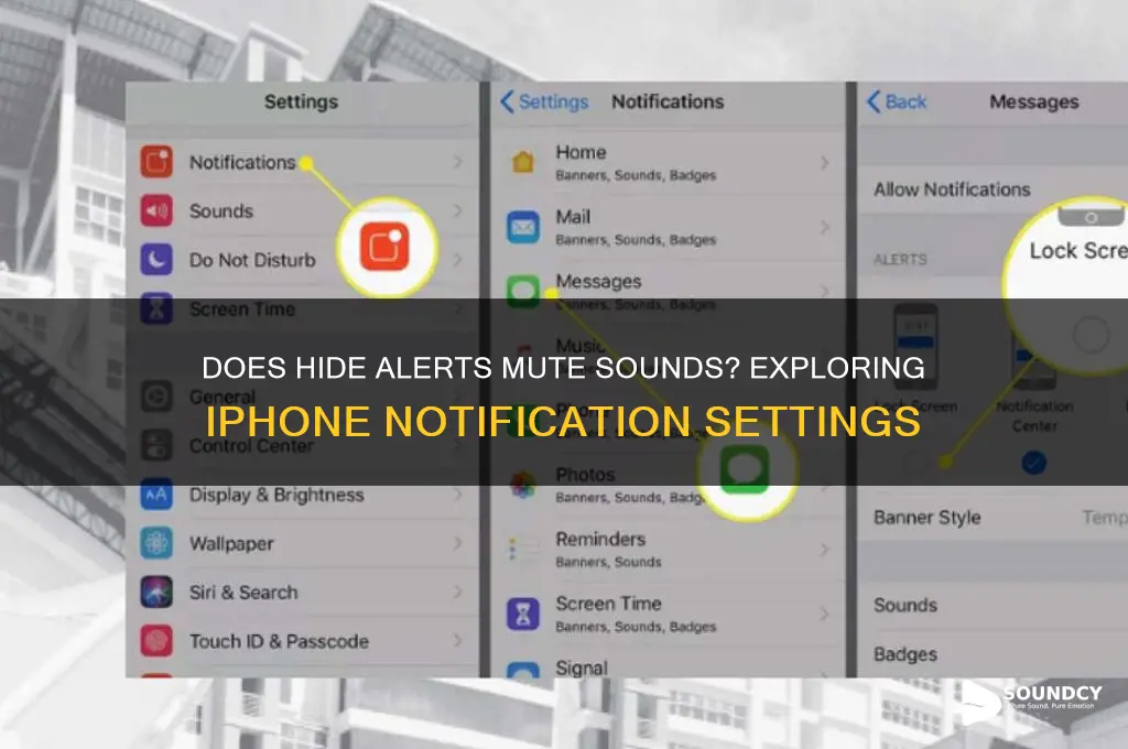 does hide alerts stop sounds