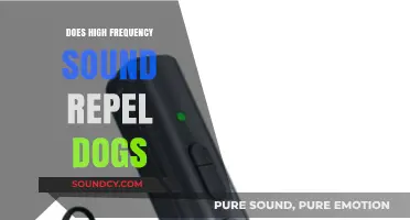 How High-Frequency Sounds Affect Dogs