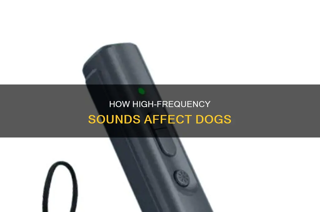 does high frequency sound repel dogs