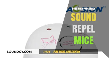 High-Frequency Sounds: Effective Mice Repellent?