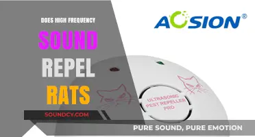 High-Frequency Sounds: Effective Rat Repellent?