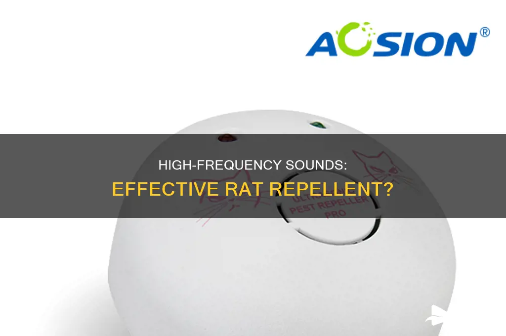 does high frequency sound repel rats