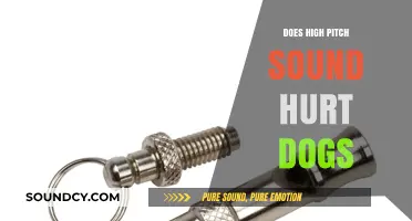 How High-Pitch Sounds Affect Dogs' Hearing
