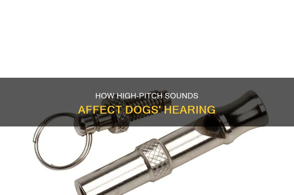 does high pitch sound hurt dogs