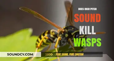 High-Frequency Sounds: Effective Wasp Deterrent or Myth?