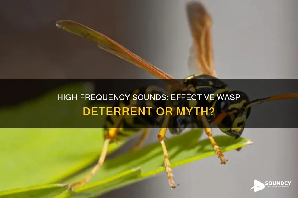 does high pitch sound kill wasps