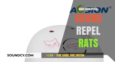 High-Frequency Sounds: Effective Rat Repellent?
