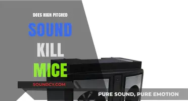 How High-Pitched Noises Affect Mice