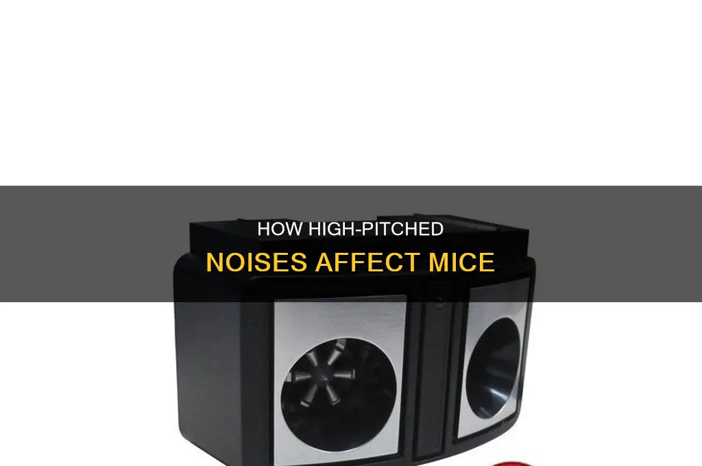 does high pitched sound kill mice