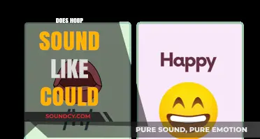 Does Hoop Sound Like Could? Exploring the Phonetic Connection and Confusion