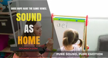 Hope vs. Home: Analyzing the Vowel Sounds in These Common Words