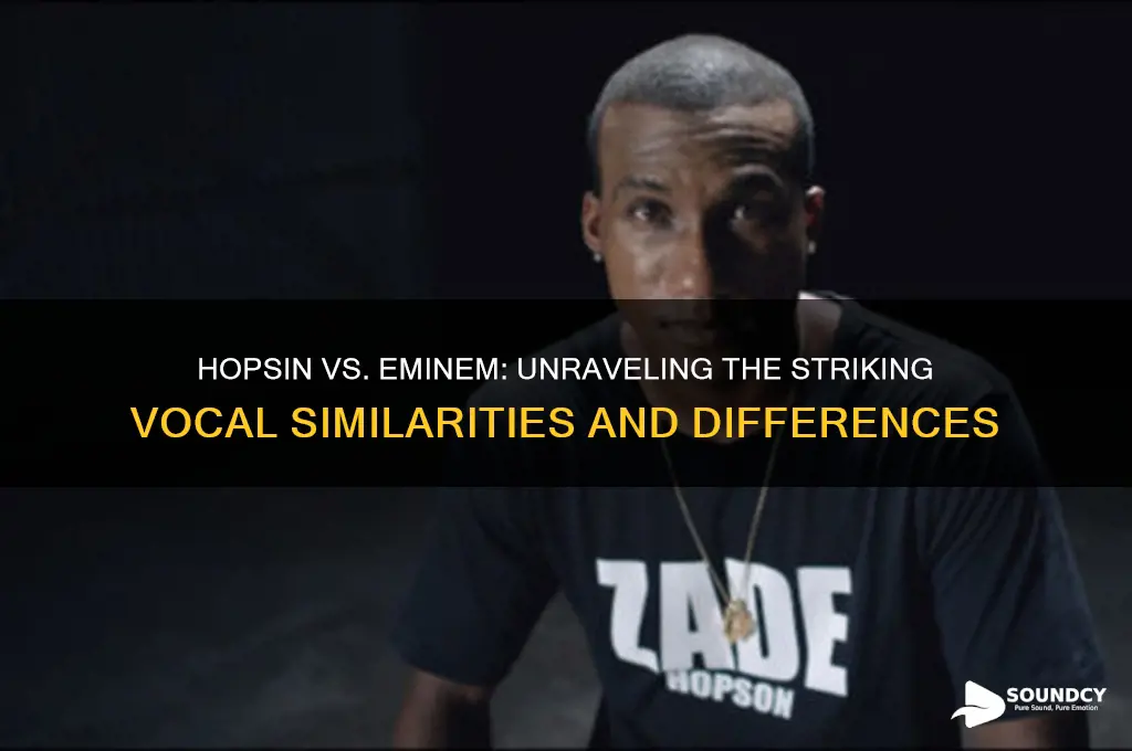 does hopsin sound like eminem