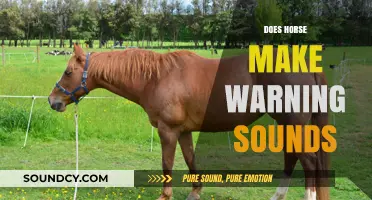Do Horses Make Warning Sounds? Understanding Equine Communication Signals